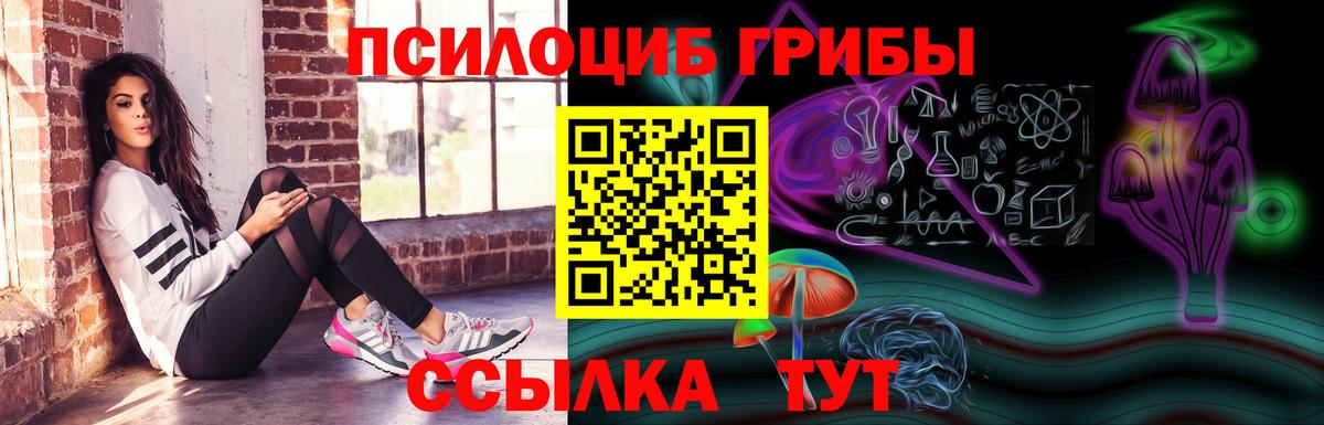 Псилоцибиновые грибы мицелий Рославль